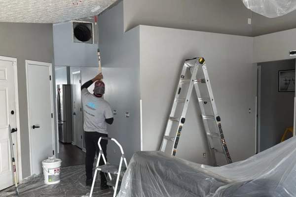 BritoSolutions LLC's Other Services